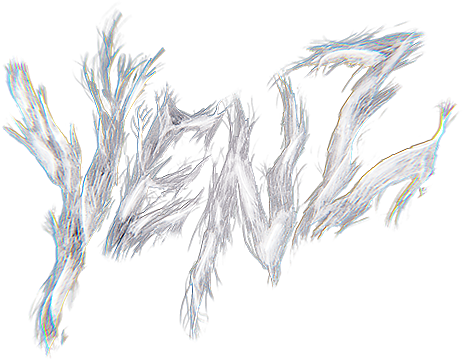 VENZ STORE