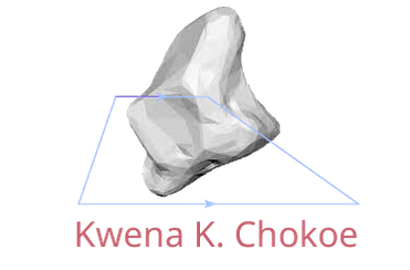 Kwena Chokoe 