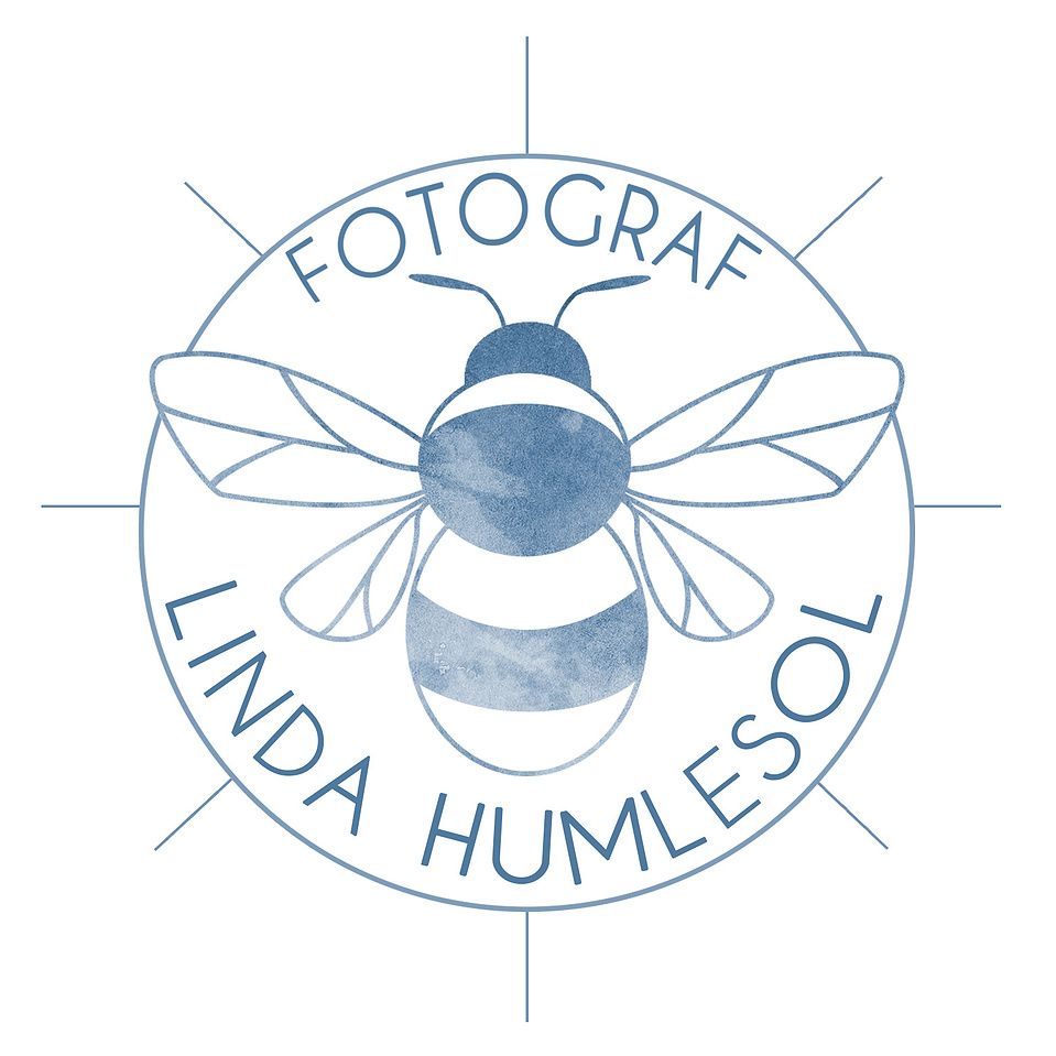 Fotograf Linda Humlesol | Bröllopsfotograf | Kalmar | Öland | Nybro | Karlskrona | Växjö | Norrköping | Linköping 