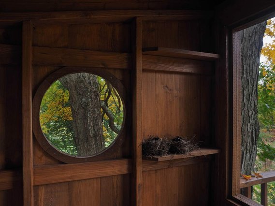 Luxury Treehouse + Amber Construction + PhotogrpaherAdrian Jones
