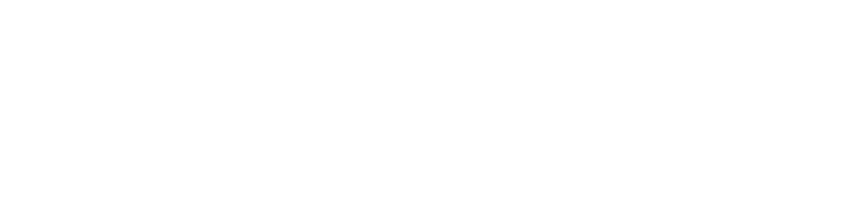 Gecko Foto