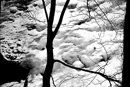 A tree silhouetted against a frozen waterfall