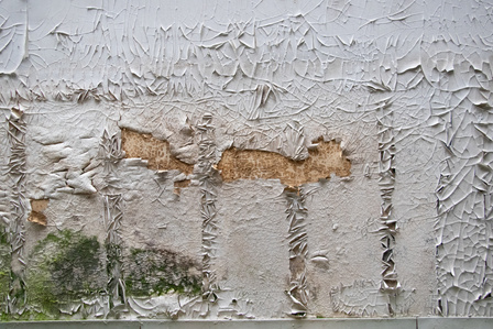 Chipped paint in an abandoned research lab that resembles ancient cave paintings