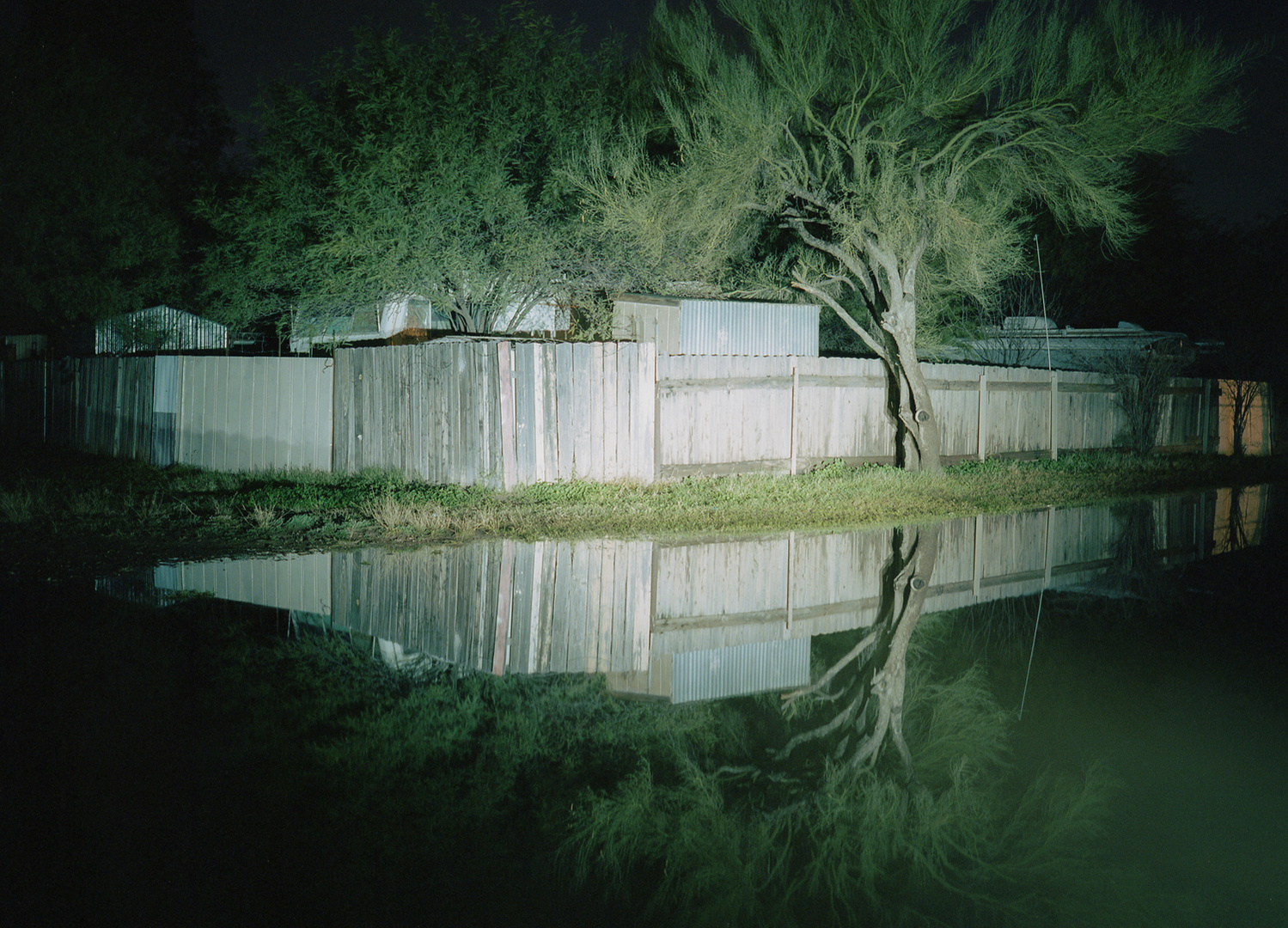 Tree by trailer home communities. Tucson, AZ. PARCEL ID: AZ140150S0140E0SN100AAZ
INDIGENOUS CARETAKERS: Apache (Western Bands)
OWNERSHIP TRANSFER METHOD: Seized by congressional act, October 1, 1886
GRANTED TO: State of Arizona
FOR THE BENEFIT OF: Univer