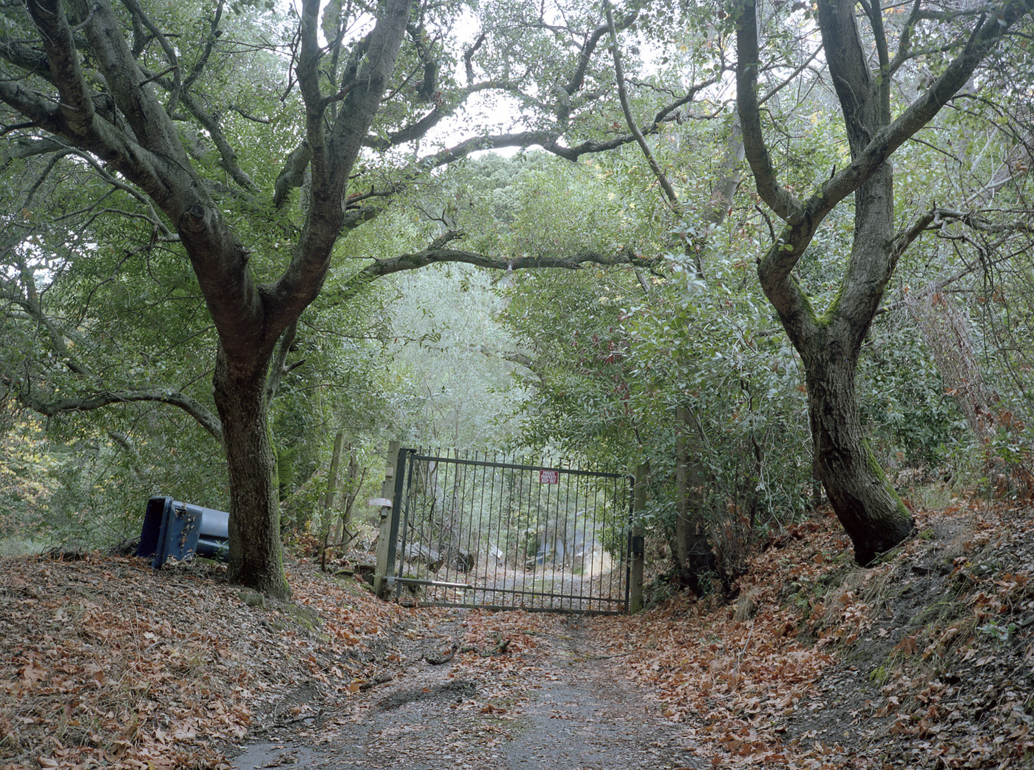 Niles Canyon Railway, Sunol, CA. PARCEL ID: CA210040S0010W0SN020AE½SWAL
INDIGENOUS CARETAKERS: Chap-pah-sim; Co-to-plan-e-nee; I-o-no-hum-ne; Sage-womnee; Su-ca-ah; We-chil-la
OWNERSHIP TRANSFER METHOD: Seized by unratified treaty, May 28, 1851
GRANTED TO