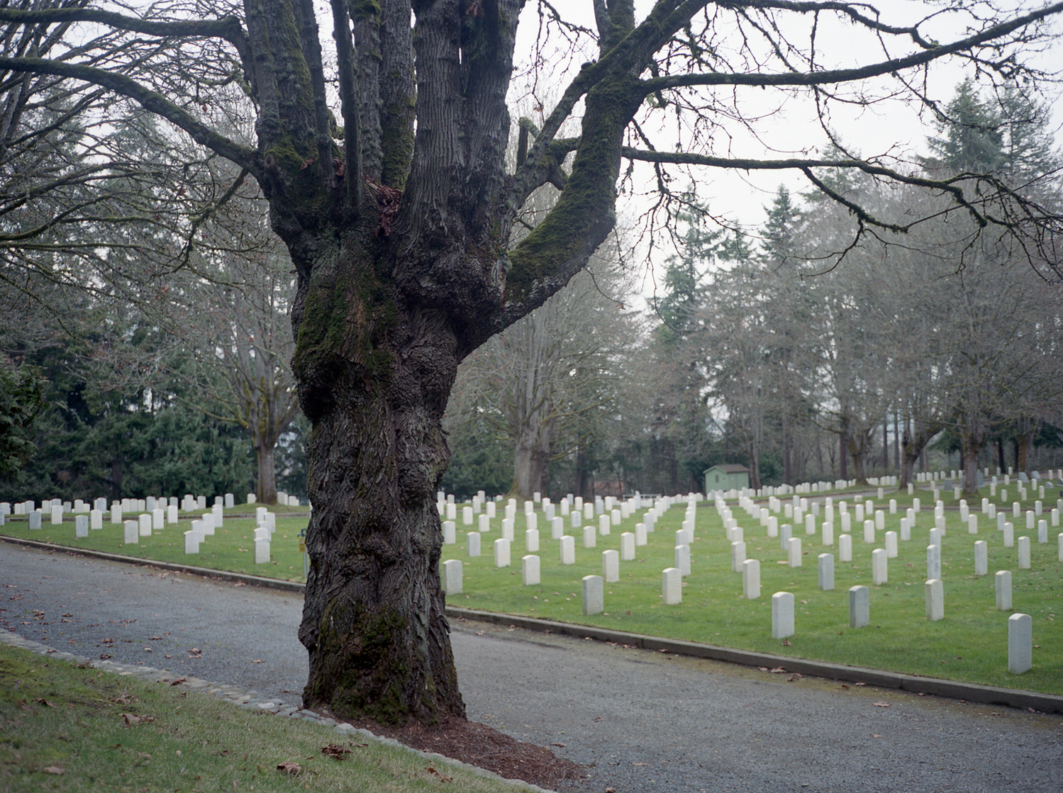 Fort Lawton Post Cemetery, Seattle, WA. PARCEL ID: WA330250N0030E0SN150AN½NESC
INDIGENOUS CARETAKERS: Duwamish; Suquamish
OWNERSHIP TRANSFER METHOD: Ceded by treaty, January 22, 1855
GRANTED TO: State of South Carolina
FOR THE BENEFIT OF: Clemson Universi