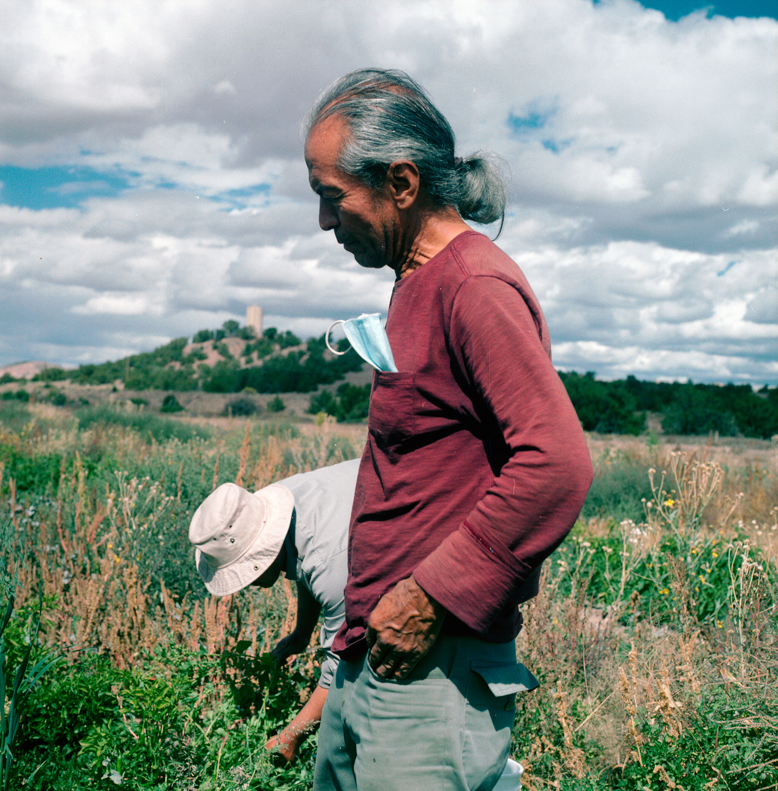 Left to right: Alcides Ortigoza and Emigdio Ballon harvest cayenne for its seeds and to dry the chile for seasoning at the Pueblo of Tesuque Farm in northern New Mexico on October 6, 2021.