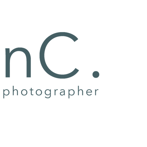 Nienke's Portfolio