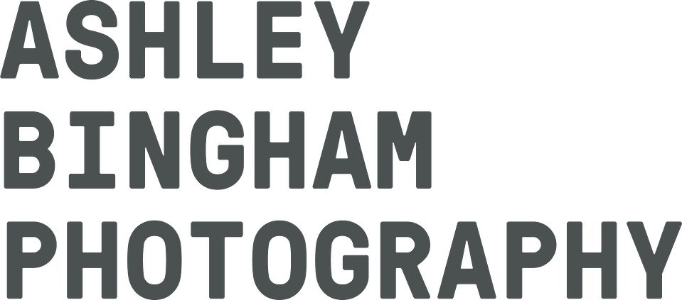 Ashley Bingham's Portfolio