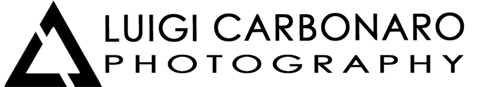 www.luigicarbonaro.com