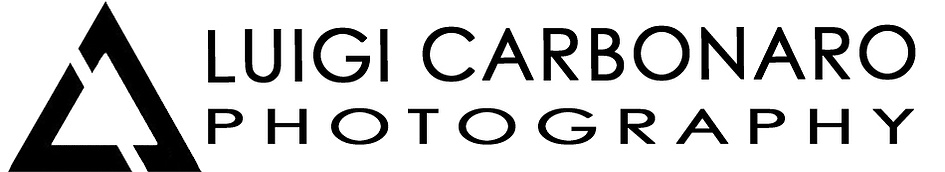 www.luigicarbonaro.com