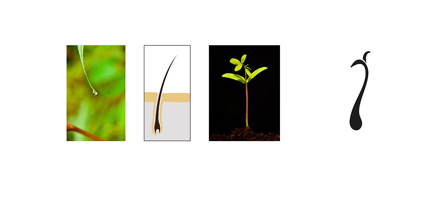 Construction of the logo. Pictures taken as a base.