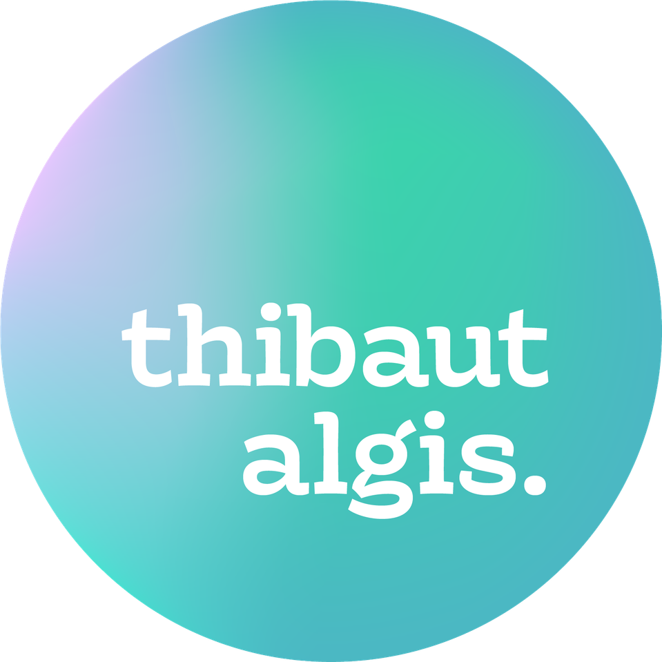 Thibaut Algis's Portfolio