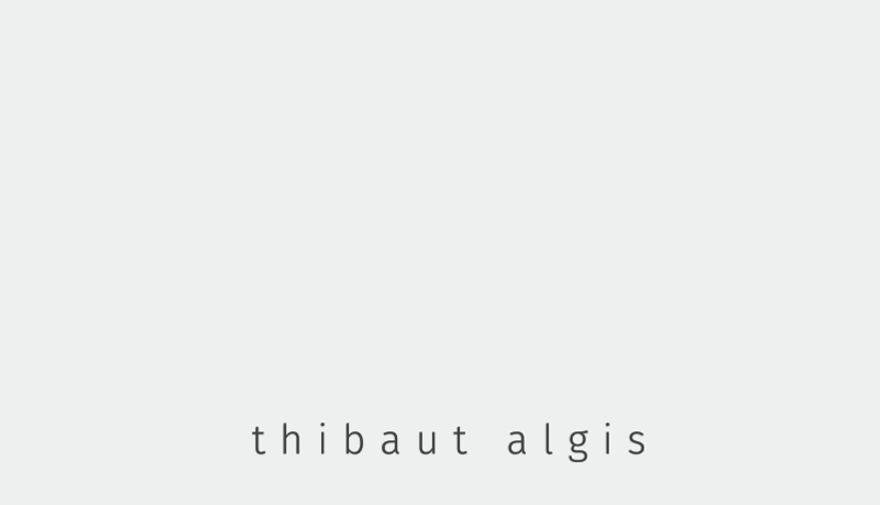 Thibaut Algis's Portfolio