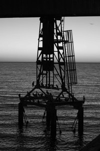 Birds sitting near the ocean on a metal structure black and white image.
