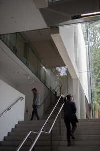 New Zealand art gallery, amazing architecture, people walking up stairs.