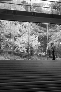 Melbourne Australia street photography, black and white photo.