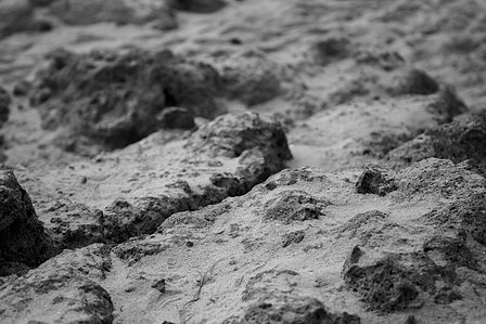 Black and white photo of the beach with sand on rocks showing a great deal of texture.