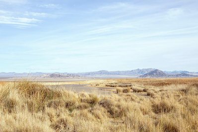 The Mojave Desert,  California, Nowhere, ZZyzx Road