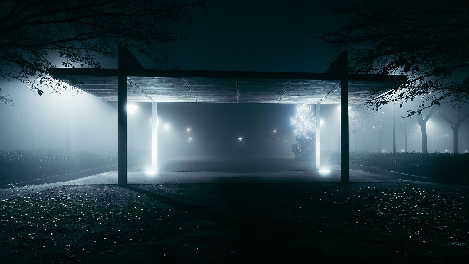 Photographie de nuit ambiance urbaine bleue et vaporeuse lotfi dakhli photographe entreprise