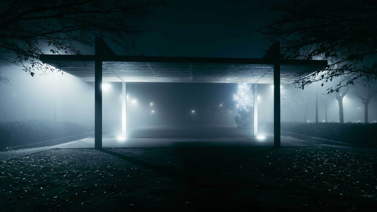 Photographie urbaine de nuit Lyon mobilier urbain dans la brume