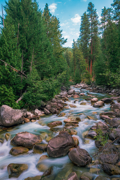Slow motion picture of water flowing through a river, surrounded by green trees with a blue sky in the background.