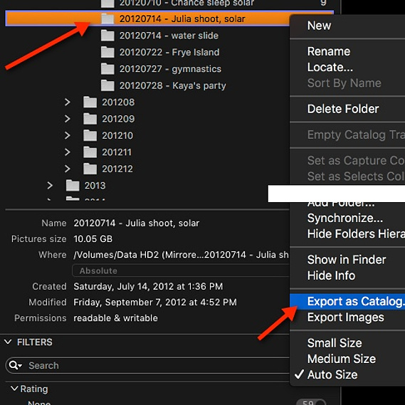 menu option chosen to export a capture One pro catalog folder to it's own catalog file