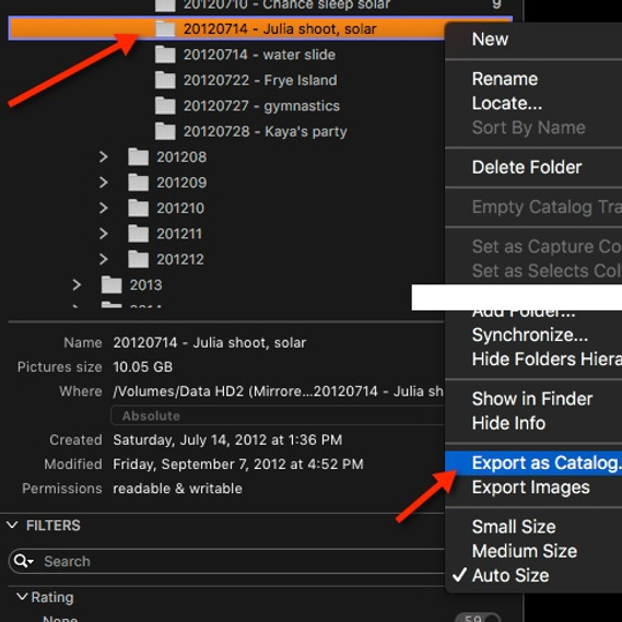 menu option chosen to export a capture One pro catalog folder to it's own catalog file
