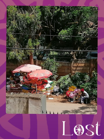 Gallery Image: Text reads: LOST. On a purple border around a distant shot image of a backyard garden in full light. There are two sun umbrellas up and two people lounge in chairs under them. There is also someone crouching in front of some bushes.