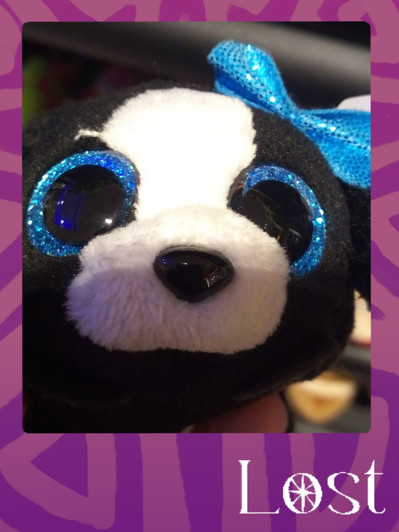 Gallery Image: Text reads: LOST. On a purple border around an image of a black white and blue stuffed animal's face. The animal wears a sparkly blue bow on its head, has a black nose on a white strip of fur that is surrounded by black closer to its cheeks