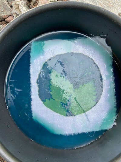 Gallery Image: the pre-printed materials for a Cyanotype print are floating in a blue substance. Materials are a white square of cloth with a large circle cut out. Inside of the circle are three green leaves.
