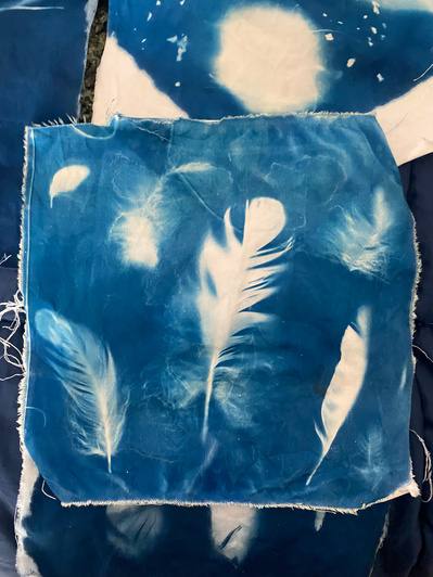 Gallery Image: blue cyanotype print on white fabric: print of six feathers of different shapes and sizes.