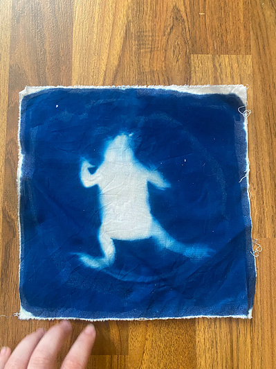 Gallery Image: blue cyanotype print on white fabric: print of a frog.