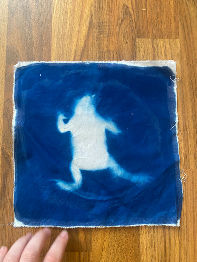Gallery Image: blue cyanotype print on white fabric: print of a frog.