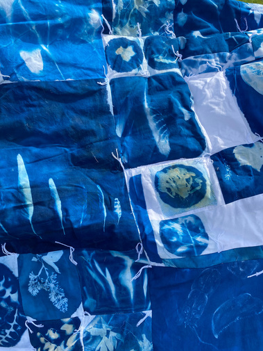 Donica's quilt, made of cyanotype prints, fills the image. There are many patches on the quilt with various prints. Prints include: three feathers, various leaves and flowers. At the corner of each square there are white strings tied in bows. 