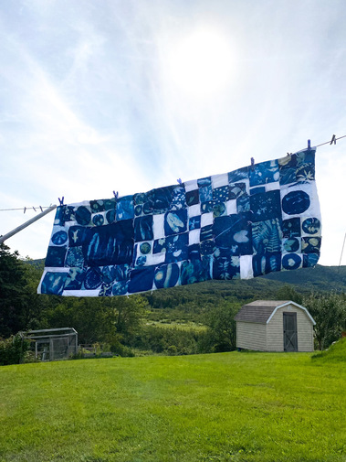 Donica's rectangular quilt, made of cyanotype prints, is hung up along the length on a clothes line. The quilt separates  blue sky from a backdrop of green landscape wth two small wooden structures. There are many patches on the quilt with various prints.