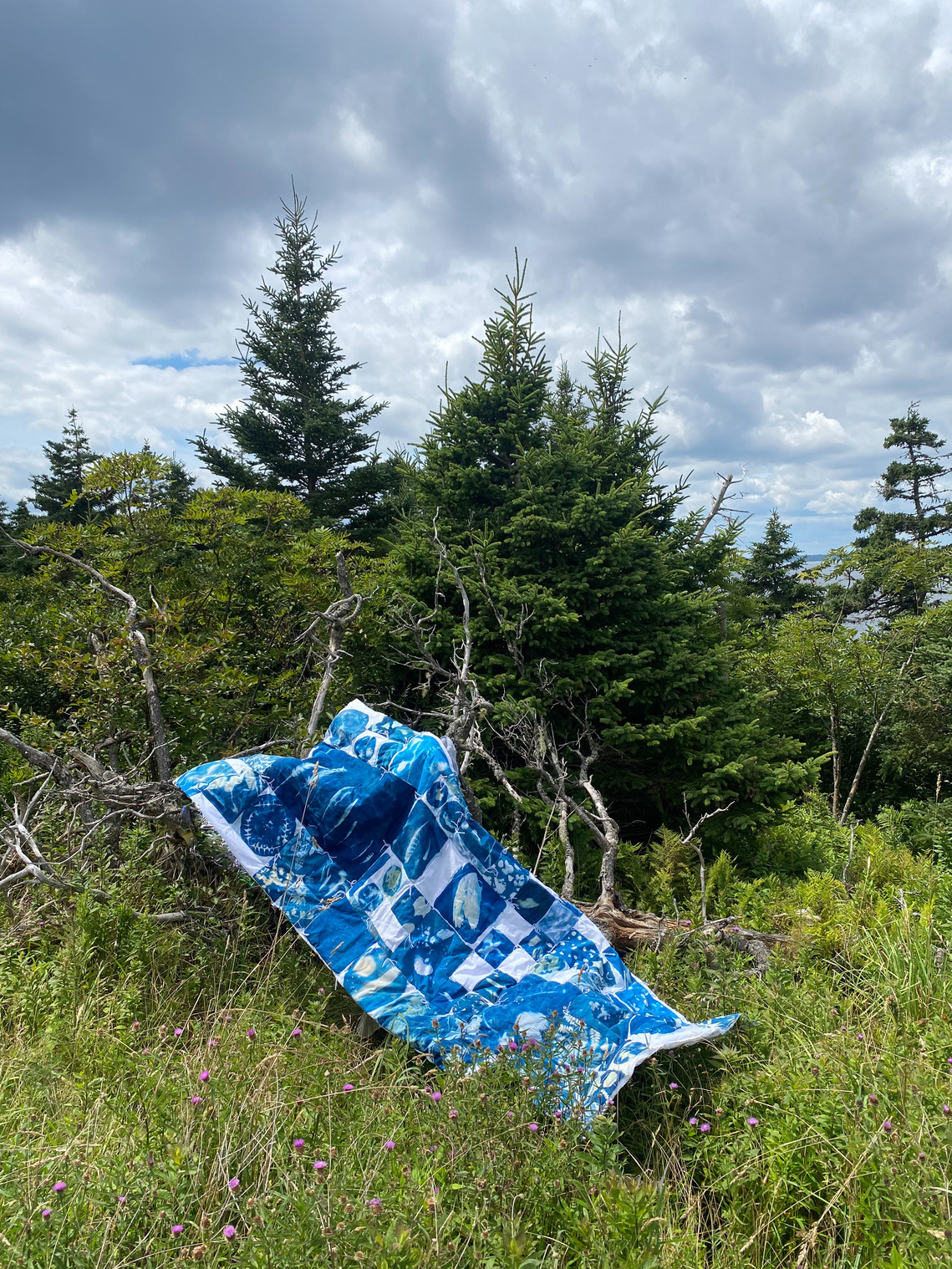 Donica's quilt, made of cyanotype prints, is draped across a fallen tree. Forest greenery and deadwood surrounds the quilt as its blue fabric shows up in vibrant contrast. There are many patches on the quilt with various prints. 