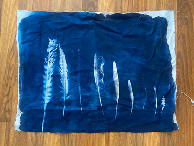 Gallery Image: blue cyanotype print on white fabric: print of a series of thin feathers lined up from longest on the left to shortest on the right.