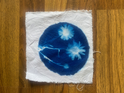 Gallery Image: blue cyanotype print on white fabric: circle print of two - three flowers and stems.