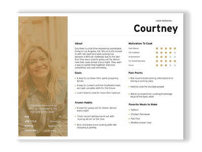 User Personas based on survey findings
