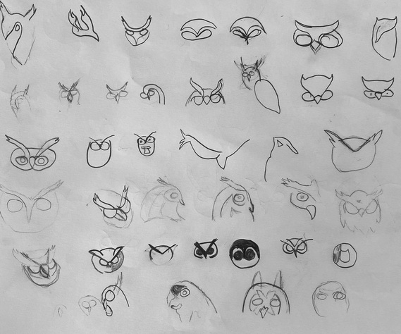 Owl sketches 