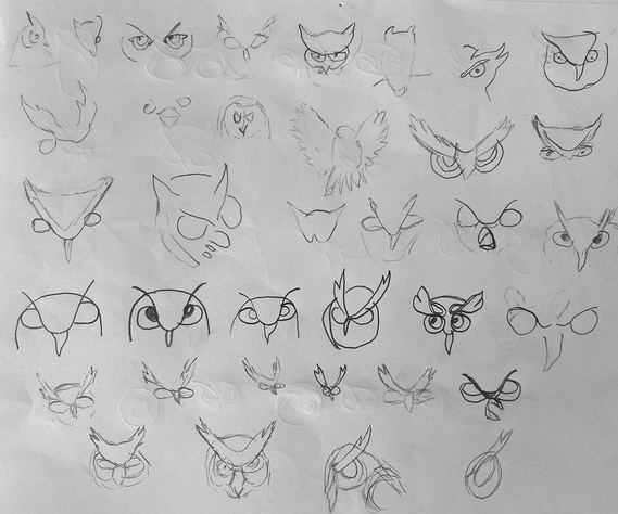 Owl sketches 