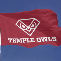 Proposed Temple Owl logo on flag