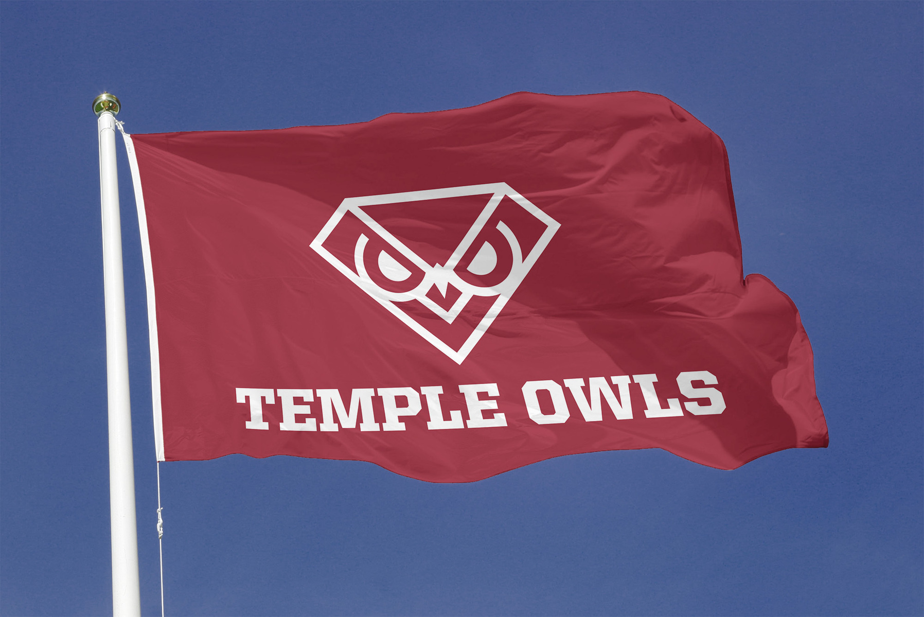 Proposed Temple Owl logo on flag