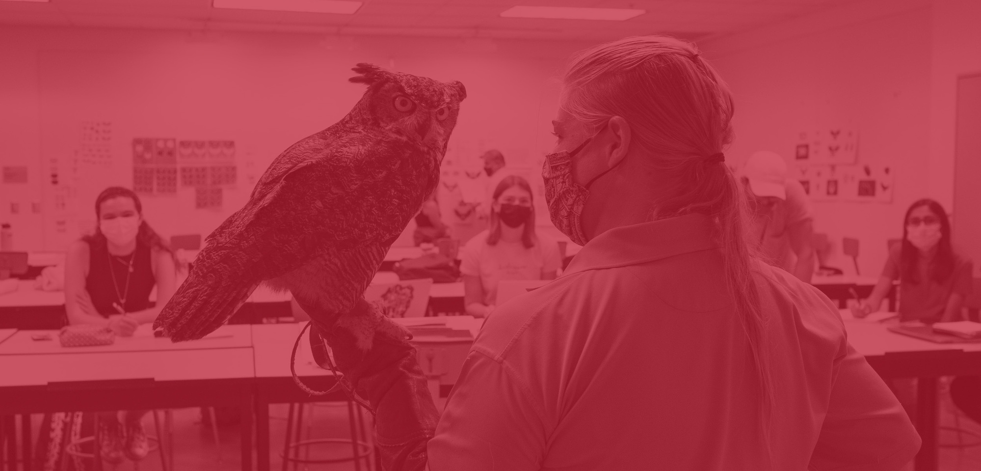 Zoo keeper holding owl in classroom