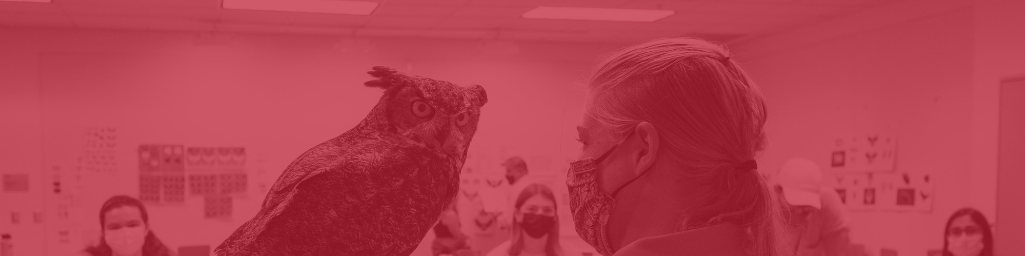 Zoo keeper holding owl in classroom