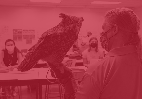 Zoo keeper holding owl in classroom