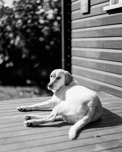 ​Molly - Pentax 67, T-Max 100