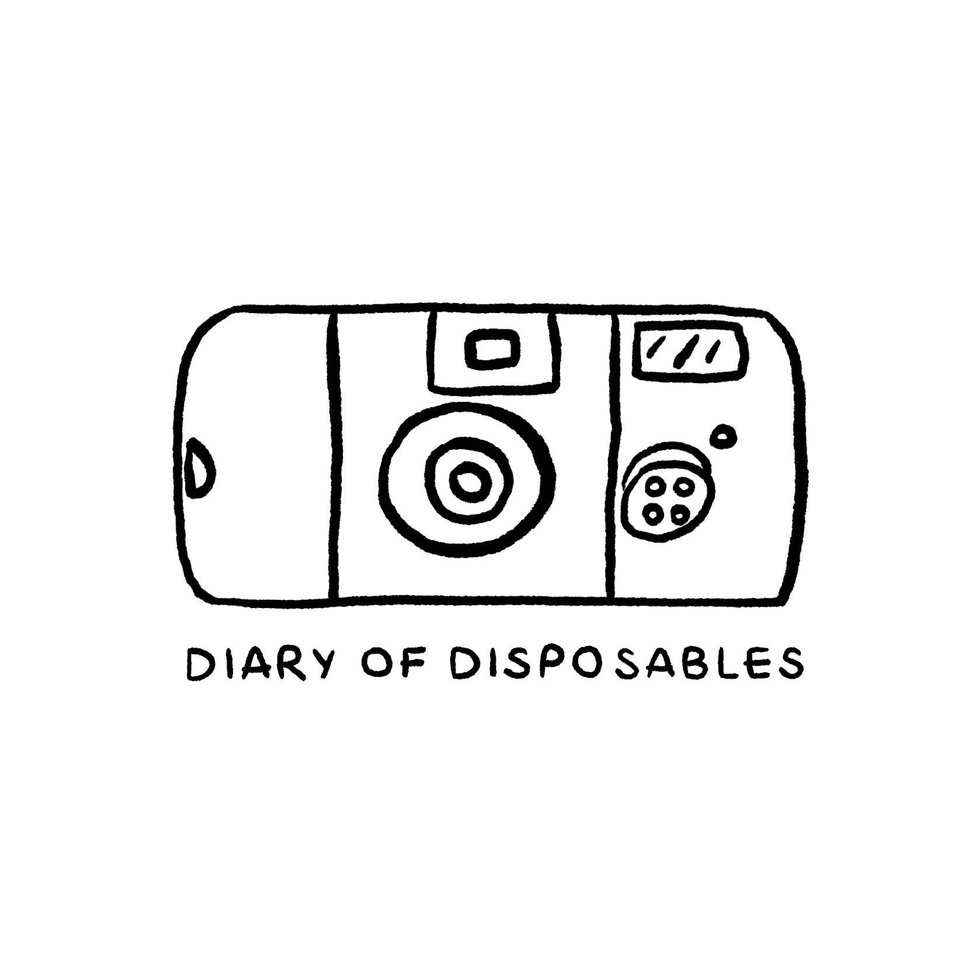 Diary Of Disposables