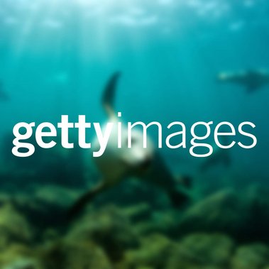 port lincoln photographer, commercial photographer, best south australian photographer, best port lincoln photographer, photography services, port lincoln photography services, south australian photography services, hire photographer, port lincoln